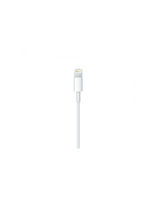 Apple Lightning to USB-C Cable (2m)