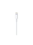 APPLE Lightning to USB cable (1 m)