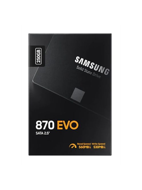 SAMSUNG SSD 870 EVO SATA III 2.5 inch 250GB