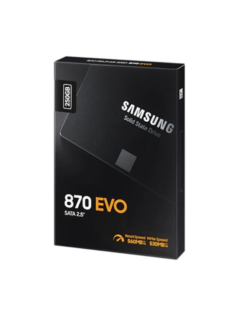 SAMSUNG SSD 870 EVO SATA III 2.5 inch 250GB