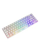 WHITE SHARK GK-2201W-US RONIN-W fehér membrán gamer billentyűzet (US)