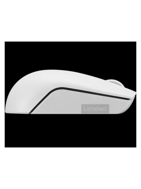 LENOVO 300 Wireless Compact Mouse (Cloud Grey)