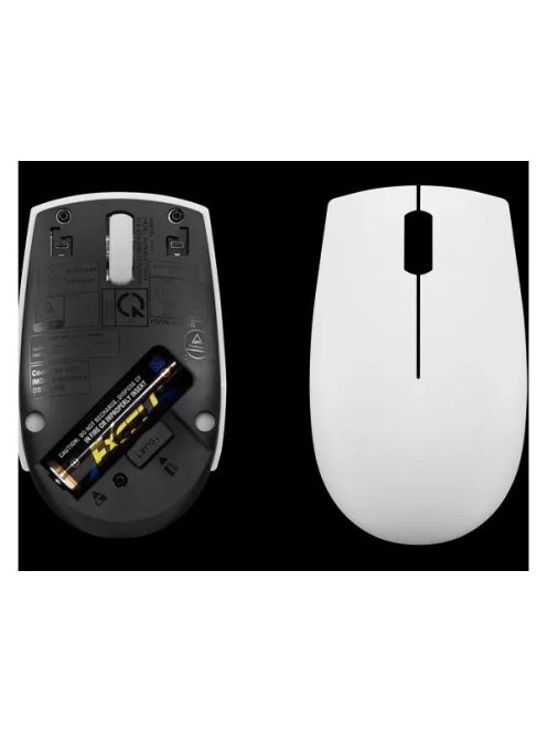 LENOVO 300 Wireless Compact Mouse (Cloud Grey)