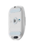 DELL Alienware Pro Wireless Gaming Mouse (Lunar Light)