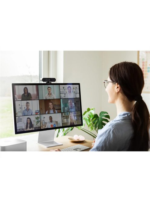 SANDBERG Face-ID Webkamera 2