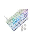 WHITE SHARK GK-004221W/BL-US SHINOBI-2/W-BL-US mech. bill. 61 kék gomb,fekete,angol