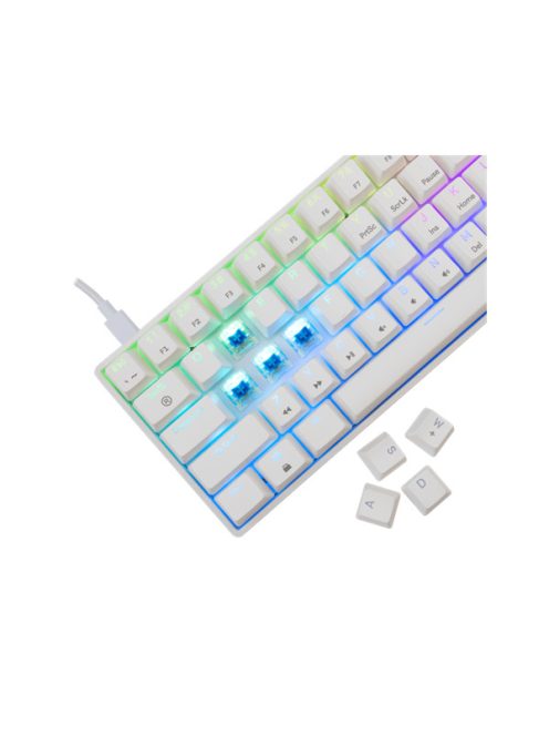 WHITE SHARK GK-004221W/BL-US SHINOBI-2/W-BL-US mech. bill. 61 kék gomb,fekete,angol
