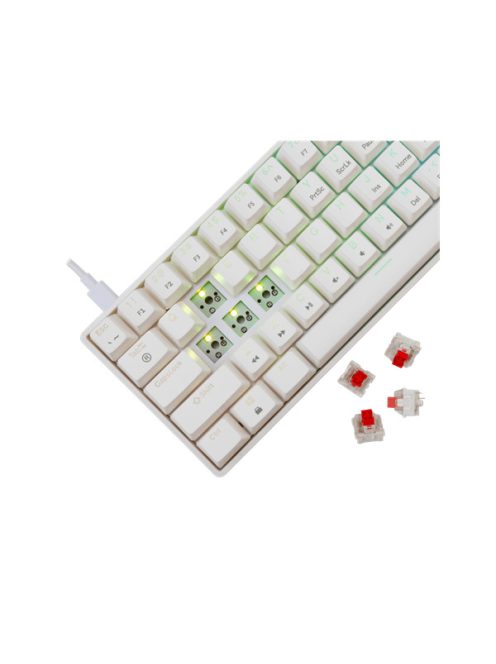 WHITE SHARK GK-004211W/R-US SHINOBI-2/W-R-US mech. bill. 61 piros gomb,fekete,angol