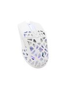 WHITE SHARK GM-5018W CARADOC-B 7D / 7200 dpi fehér RGB gamer egér
