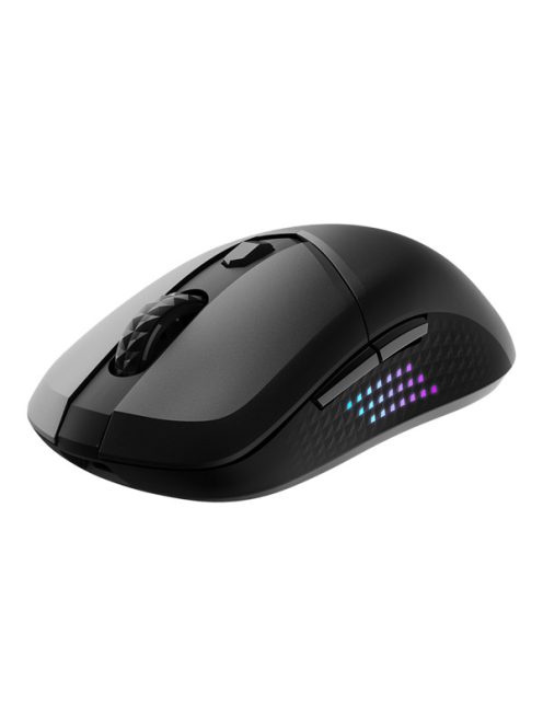 MSI ACCY VERSA 300 ELITE W Wireless Gaming Mouse, Black