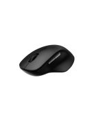 RAPOO 00220693, "M50 Plus" Wireless Silent Optical Mouse, black
