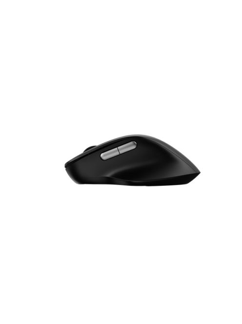 RAPOO 00220693, "M50 Plus" Wireless Silent Optical Mouse, black